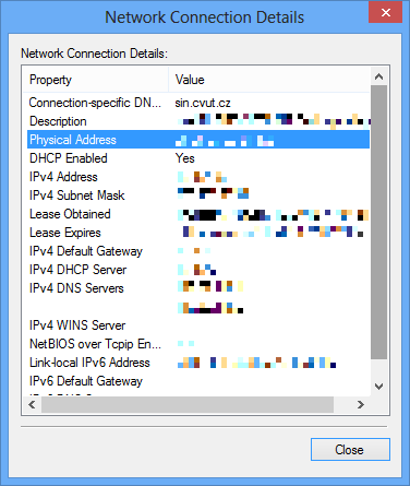 Network Connection Details